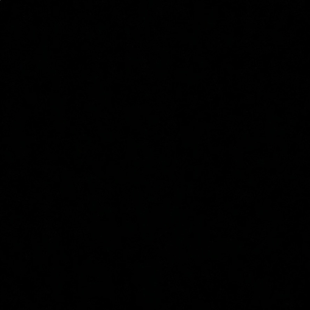 Meet your Posher, Lizbeth